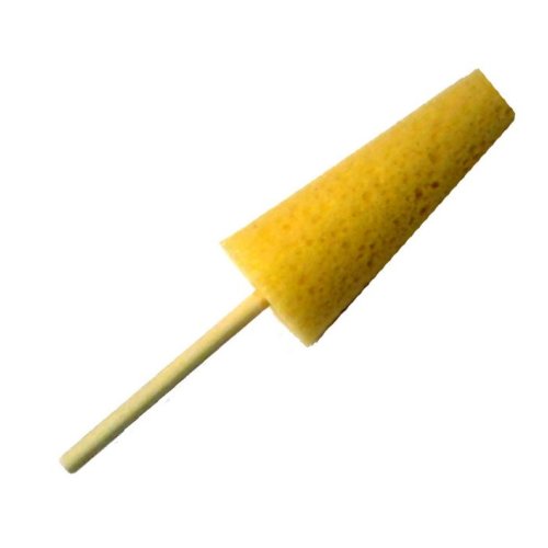 Sponge Sticks Sponge Sticks