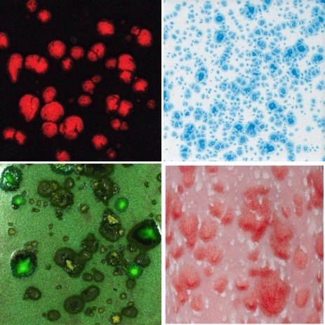 Mayco Mayco Jungle Gems & Crystalite Glazes Mayco Mayco Jungle Gems & Crystalite Glazes
