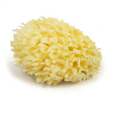 Natural Sponge Off Cuts Natural Sponge Off Cuts