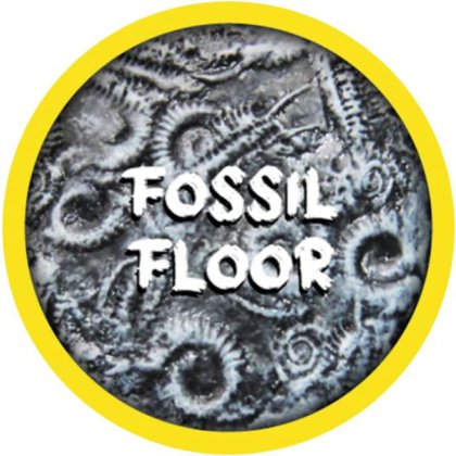 Rolltex Fossil Floor Mini Series Rolltex Fossil Floor Mini Series