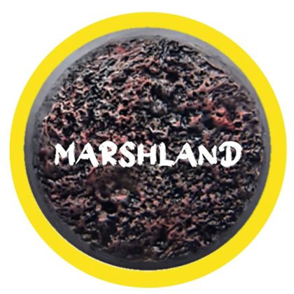 Rolltex Marshland Mini Series Rolltex Marshland Mini Series