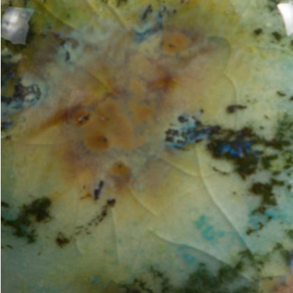 Mountain Moss Mayco Jungle Gem Mountain Moss Mayco Jungle Gem