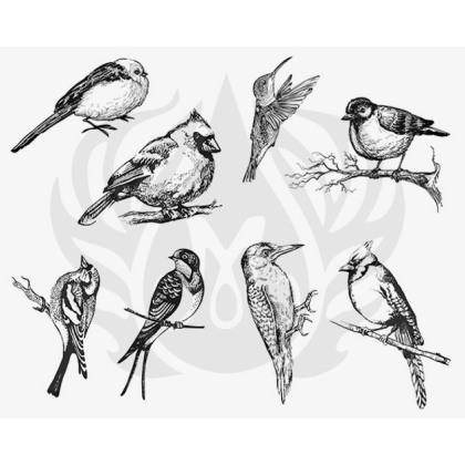 Designer Silkscreen Small Birds Designer Silkscreen Small Birds