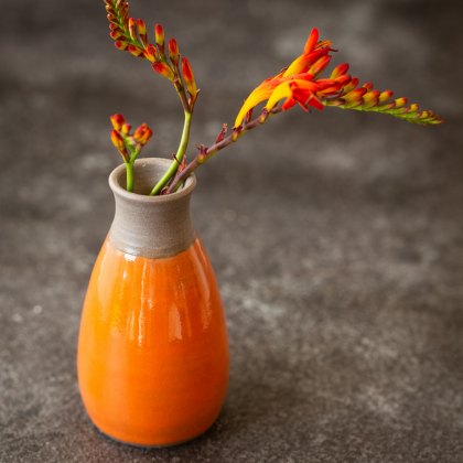 Fire Opal Botz Pro Glaze Fire Opal Botz Pro Glaze