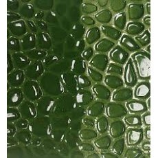 Mid Green Brush On Earthenware Glaze EB11 Mid Green Brush On Earthenware Glaze EB11