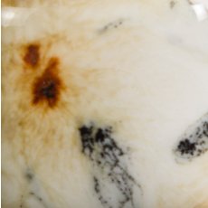 Cheetah Mayco Crystalite Cheetah Mayco Crystalite