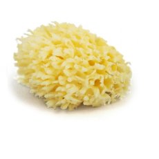Natural Sponge Off Cuts Natural Sponge Off Cuts