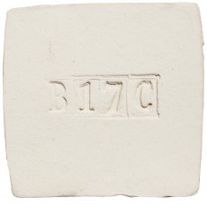 White Stoneware Clay B17C White Stoneware Clay B17C