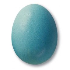 Turquoise Matt Earthenware Powdered Glaze Turquoise Matt Earthenware Powdered Glaze