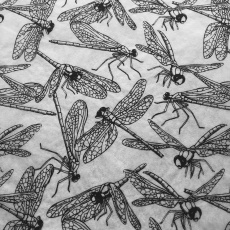 Dragonflies Underglaze Transfer Sheet Dragonflies Underglaze Transfer Sheet
