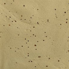 Buff Spotted Throwing Clay WMSB Buff Spotted Throwing Clay WMSB