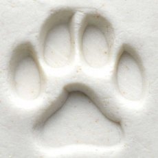 Medium Dog Paw MKM Stamp Medium Dog Paw MKM Stamp