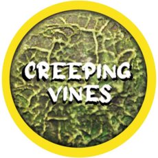 Rolltex Creeping Vines Mini Series Rolltex Creeping Vines Mini Series