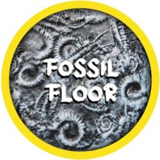 Rolltex Fossil Floor Mini Series Rolltex Fossil Floor Mini Series