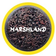 Rolltex Marshland Mini Series Rolltex Marshland Mini Series