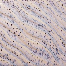 Aurora Breeze Flux Amaco Potters Choice Glaze Aurora Breeze Flux Amaco Potters Choice Glaze