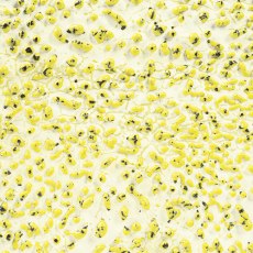 Speckled Yellow Amaco Crawls Glaze Speckled Yellow Amaco Crawls Glaze