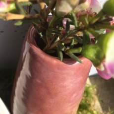 Rose Marble Earthenware Glaze 9530 Rose Marble Earthenware Glaze 9530