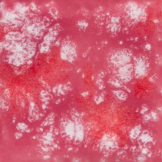 Peppermint Twist Mayco Jungle Gem Peppermint Twist Mayco Jungle Gem
