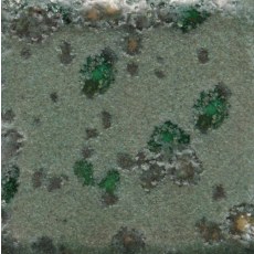 Alligator Mayco Jungle Gem Alligator Mayco Jungle Gem