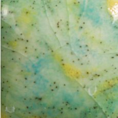 Meadow Mayco Jungle Gem Meadow Mayco Jungle Gem