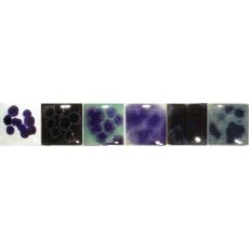 Cobalt Blue Spectrum Dry Crystals Cobalt Blue Spectrum Dry Crystals