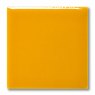 TerraColor Sunshine Gloss Earthenware Brush On Glaze FG1032