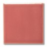 TerraColor Wild Rose Earthenware Brush On Glaze FG1035