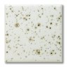 TerraColor Speckled White Earthenware Brush On Glaze FE5410