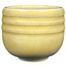Oatmeal Amaco Potters Choice Glaze