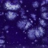 Celestial Blue Mayco Crystalite Celestial Blue Mayco Crystalite