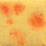 Citrus Splash Mayco Crystalite