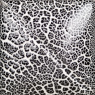 Mayco Black Cobblestone Speciality Glaze