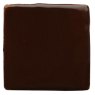 Sepia Glaze & Body Stain