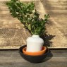 Pumpkin Earthenware Glaze 9486 Pumpkin Earthenware Glaze 9486