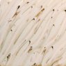 River Birch Flux Amaco Potters Choice Glaze