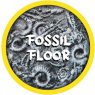 Rolltex Fossil Floor Mini Series