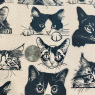 Zany Cats Underglaze Transfer Sheet Zany Cats Underglaze Transfer Sheet