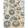 Nests Underglaze Transfer Sheet Nests Underglaze Transfer Sheet