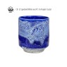 Speckled White Amaco Crawls Glaze Speckled White Amaco Crawls Glaze