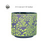 Lime Amaco Crawls Glaze Lime Amaco Crawls Glaze