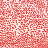 Red Amaco Crawls Glaze