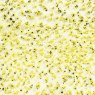Speckled Yellow Amaco Crawls Glaze