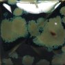 Olive Float Mayco Stoneware Glaze