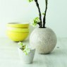 Crackle Transparent Earthenware Glaze 9351