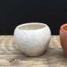 Speckle Cream Stoneware Glaze Speckle Cream Stoneware Glaze