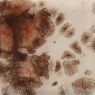 Yadro Print Mayco Jungle Gem